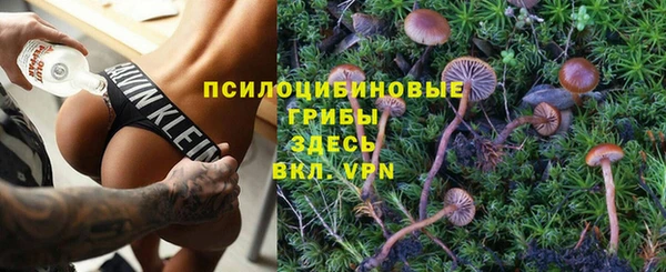 твердый Алексеевка